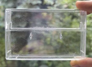 Standard Scratched